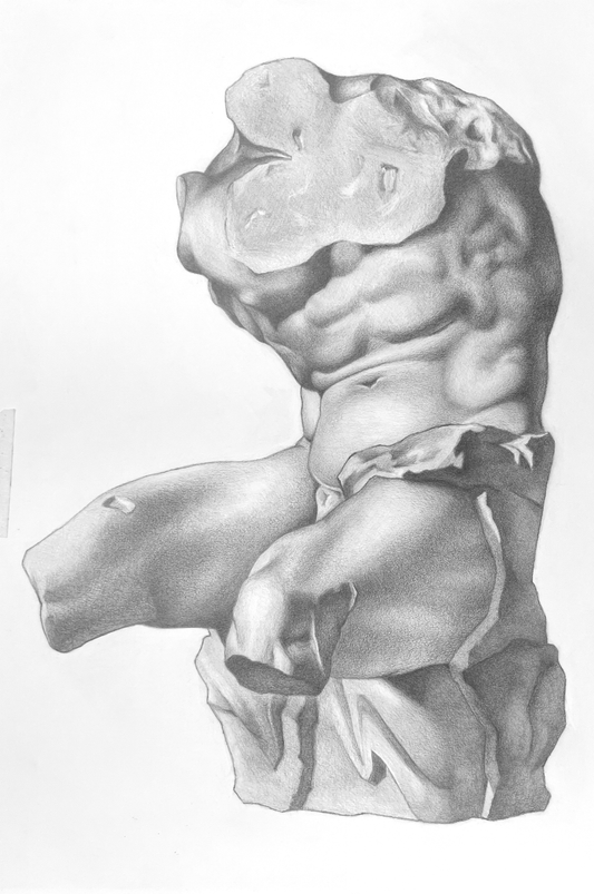 Belvedere Torso